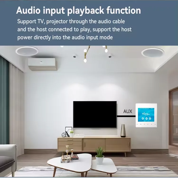 홈 블루투스 벽 증폭기 배경 음악 호스트 제어 시스템  - Audio Music Background Free 리뷰 및 가격